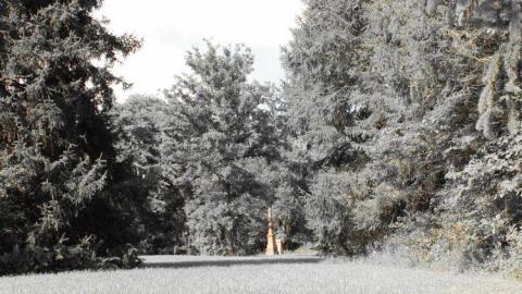 Col. Burwell and family - Burwell-Pioneer-Cemetery15.jpg