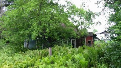 Gallery - Coopers-Falls-Ghost-Town180.jpg