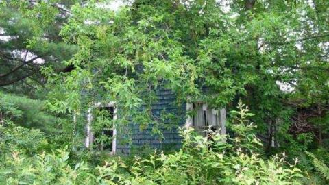 Gallery - Coopers-Falls-Ghost-Town182.jpg