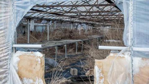 March '14 - Telstar-Gardens38.jpg