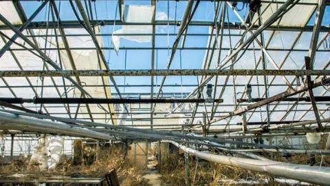 March '14 - Telstar-Gardens39.jpg