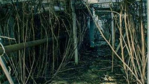 Photo from March '14