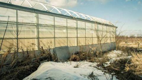 March '14 - Telstar-Gardens42.jpg