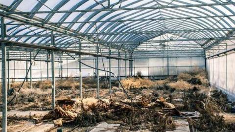 March '14 - Telstar-Gardens45.jpg