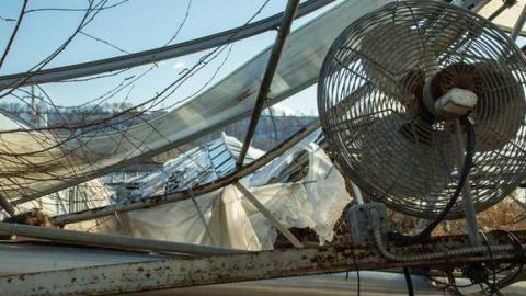 March '14 - Telstar-Gardens47.jpg