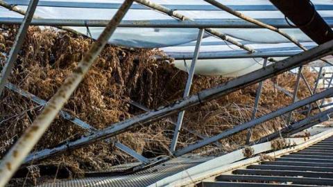 March '14 - Telstar-Gardens50.jpg