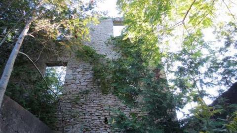 Abandoned Beauty - Foundry-Building-Elora5.jpg