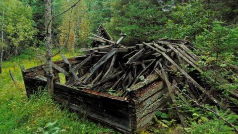 Forbes Collapsed Pioneer House photo 2