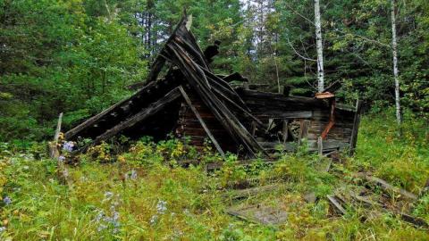 Forbes Collapsed Pioneer House photo 5