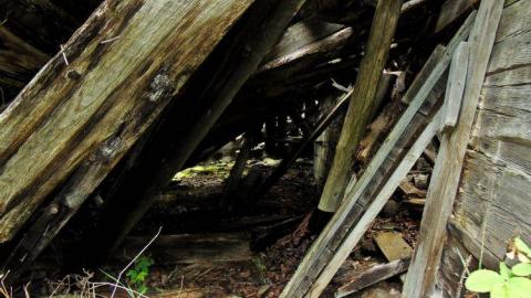 Forbes Collapsed Pioneer House photo 4