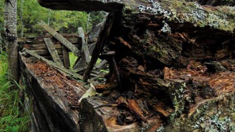 Forbes Collapsed Pioneer House photo 3