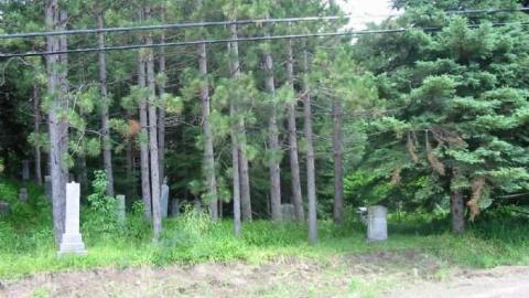 Photo from White Lake Pioneer Cemetery