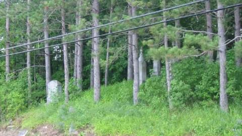 Photo from White Lake Pioneer Cemetery