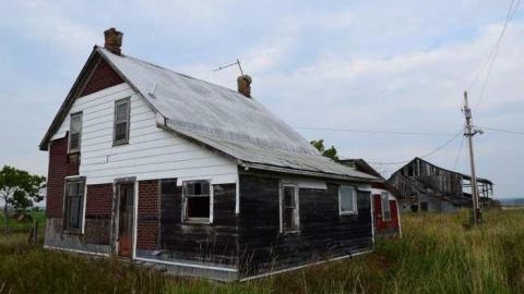 Guided Tour (By the Cat) - DSC_0015.jpg