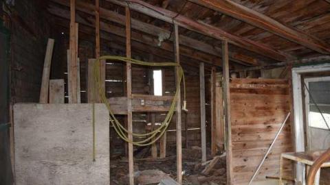 Guided Tour (By the Cat) - DSC_0017.jpg