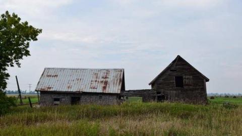 Guided Tour (By the Cat) - DSC_0018.jpg