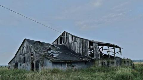 Guided Tour (By the Cat) - DSC_0019.jpg