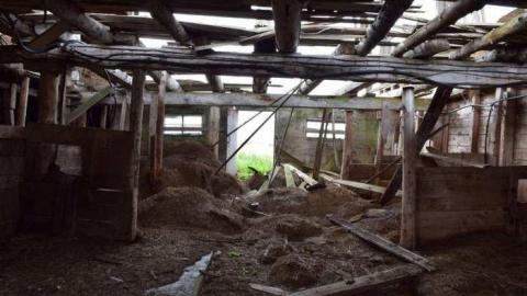 Guided Tour (By the Cat) - DSC_0022.jpg