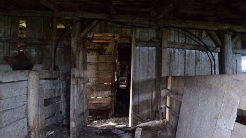 Guided Tour (By the Cat) - DSC_0023.jpg