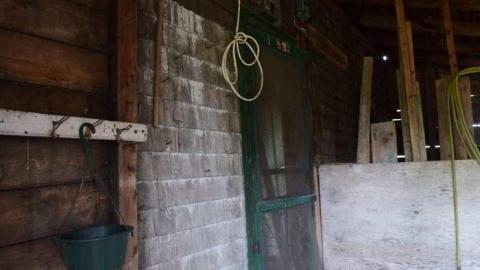 Guided Tour (By the Cat) - DSC_0024.jpg