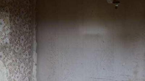 Guided Tour (By the Cat) - DSC_0026.jpg