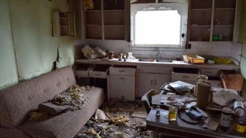 Guided Tour (By the Cat) - DSC_0030.jpg