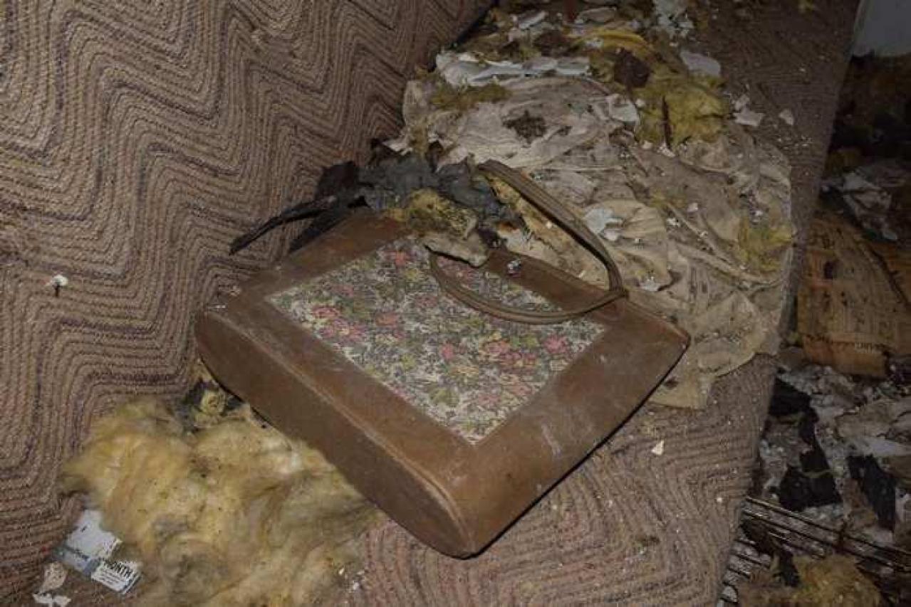 Guided Tour (By the Cat) - DSC_0036.jpg