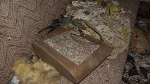 Photo from Guided Tour (By the Cat)