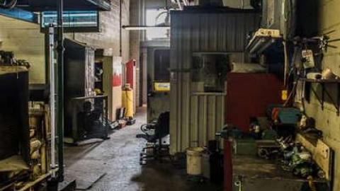 Green Tag Sale - piggie 2-1572.jpg