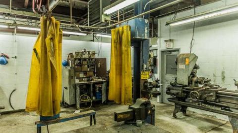 Green Tag Sale - piggie 2-1574.jpg