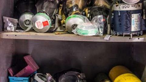 Green Tag Sale - piggie 2-1580.jpg