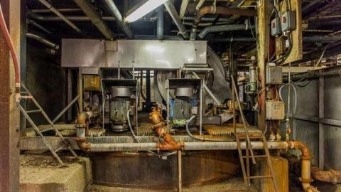 Green Tag Sale - piggie 2-1588.jpg