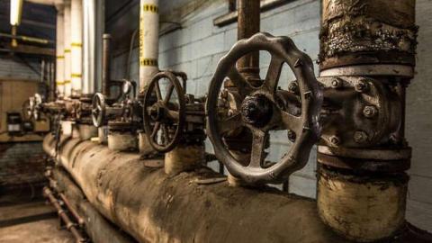 Green Tag Sale - piggie 2-1592.jpg