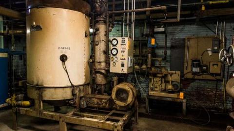 Green Tag Sale - piggie 2-1597.jpg