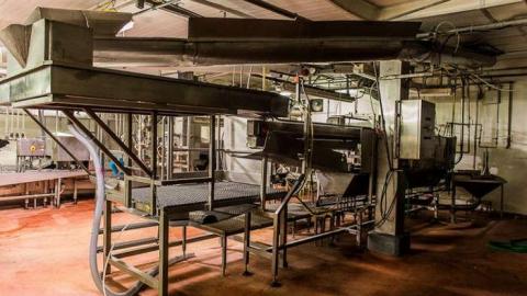 Green Tag Sale - piggie 2-1602.jpg