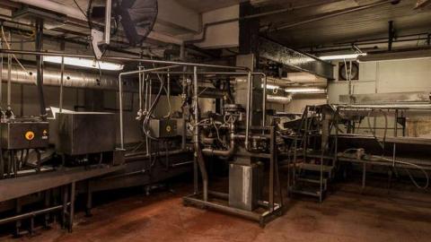 Green Tag Sale - piggie 2-1604.jpg