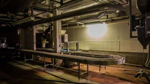 Green Tag Sale - piggie 2-1612.jpg