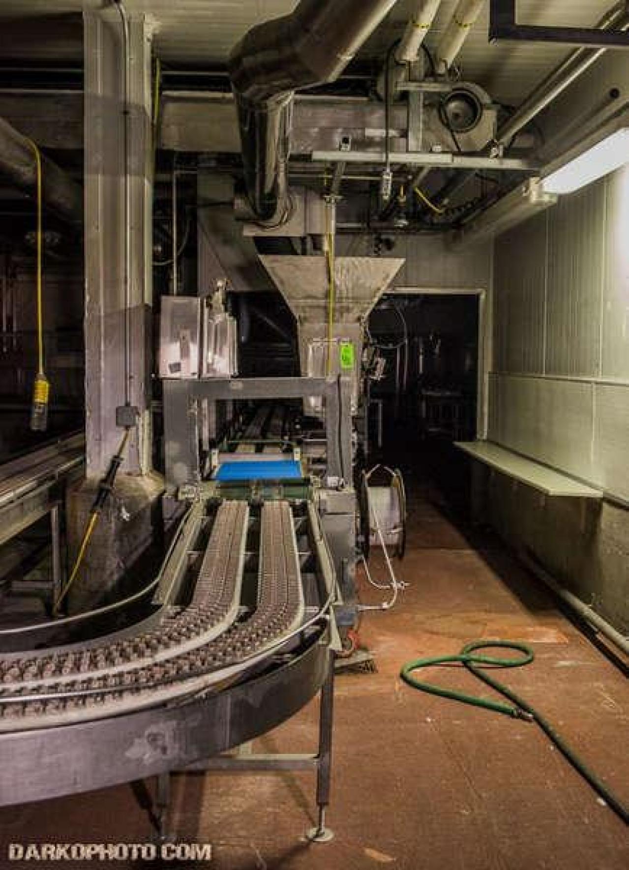 Green Tag Sale - piggie 2-1613.jpg