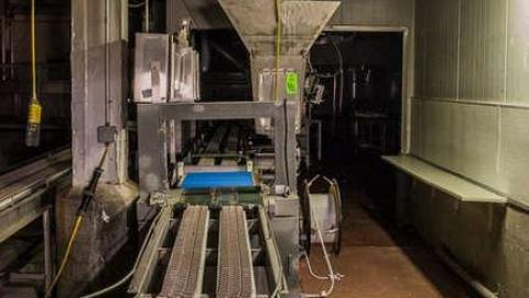 Green Tag Sale - piggie 2-1613.jpg