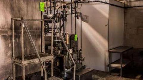 Green Tag Sale - piggie 2-1621.jpg