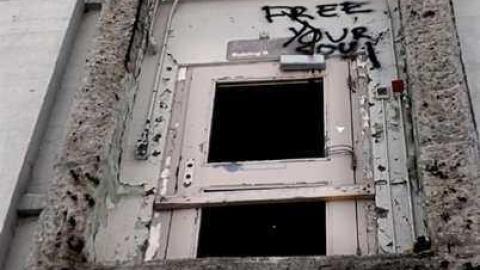 Night Prowler - DSC_1119_2.jpg