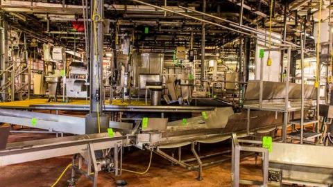 Green Tag Sale - piggie 2-1626.jpg