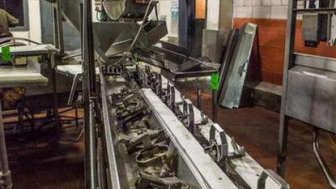 Green Tag Sale - piggie 2-1630.jpg