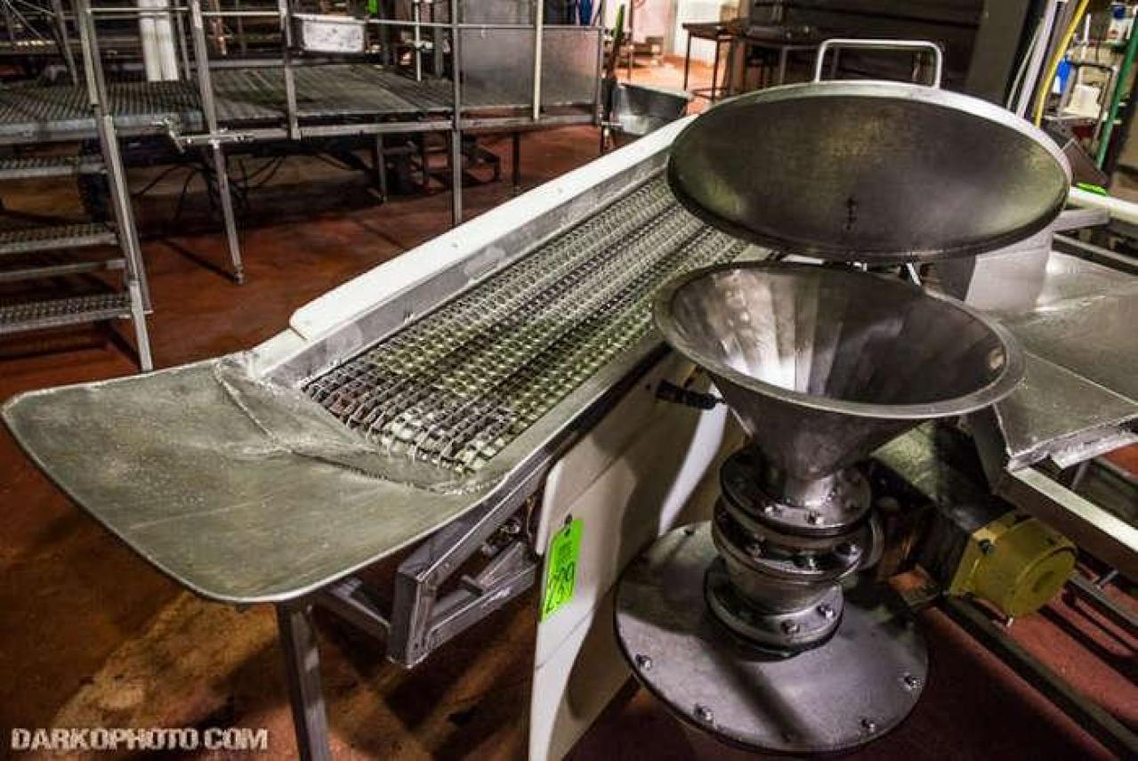 Green Tag Sale - piggie 2-1631.jpg