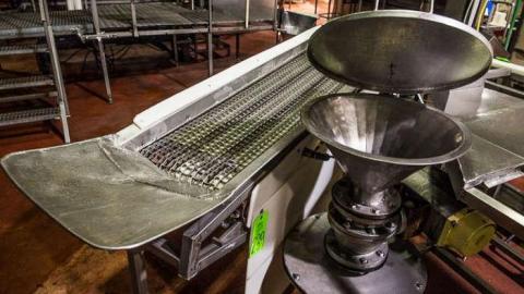 Green Tag Sale - piggie 2-1631.jpg