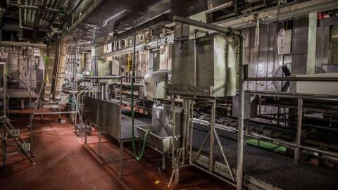 Green Tag Sale - piggie 2-1635.jpg