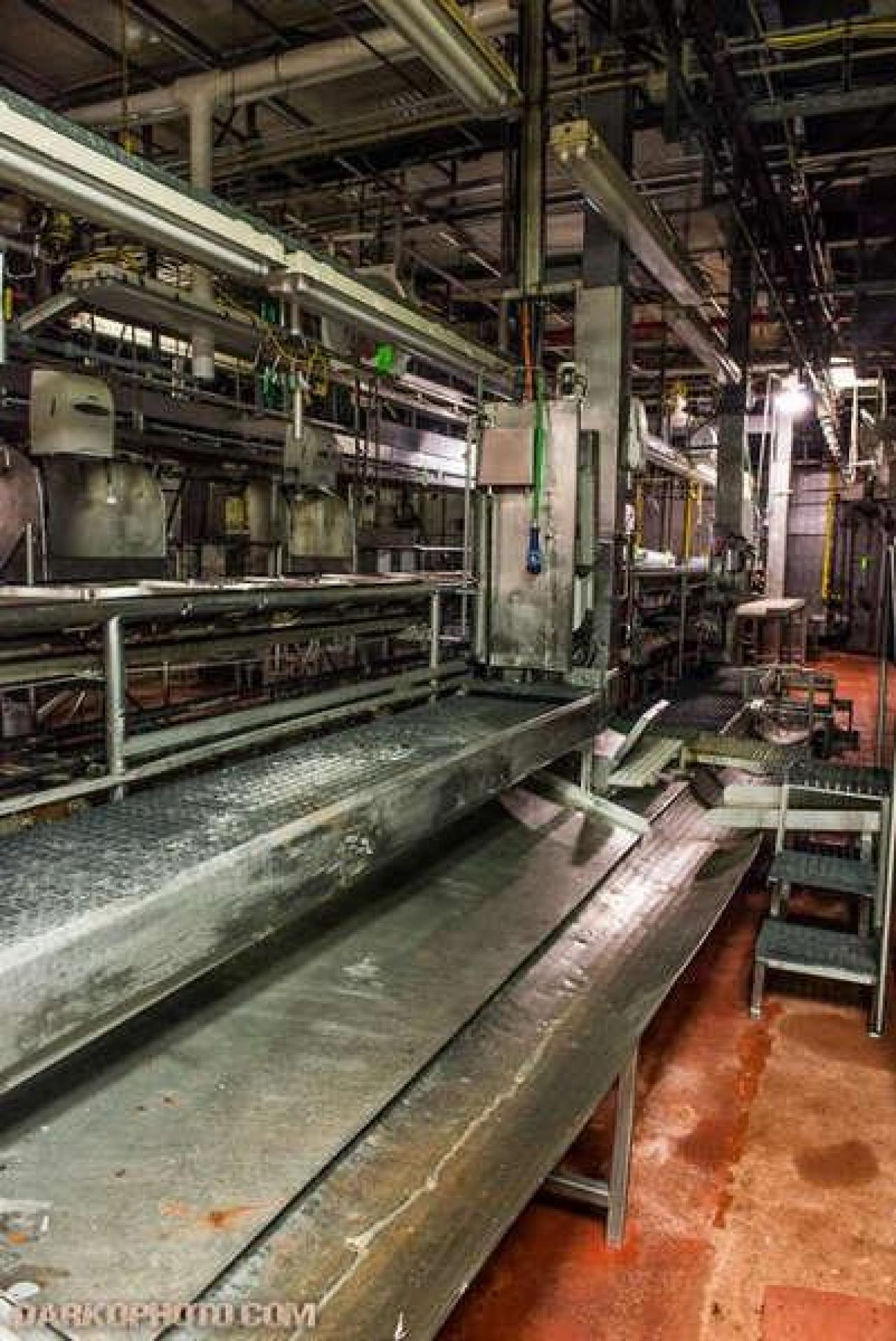 Green Tag Sale - piggie 2-1639.jpg