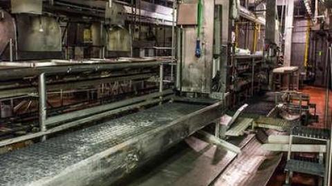 Green Tag Sale - piggie 2-1639.jpg