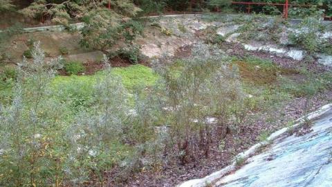 Wonderland Gardens - Wonderland-Gardens-Swimming-Pool25.jpg