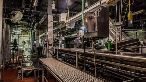 Green Tag Sale - piggie 2-1645.jpg